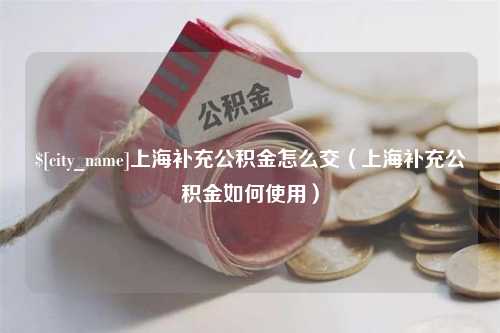 丰城上海补充公积金怎么交（上海补充公积金如何使用）